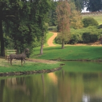 Frog Hollow at Belvoir Castle, Leicestershire © Belvoir Castle 