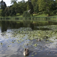 Credit: Bath Spa University, Bath, UK