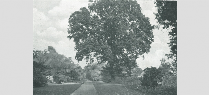 South Stoneham Garden Capability Brown